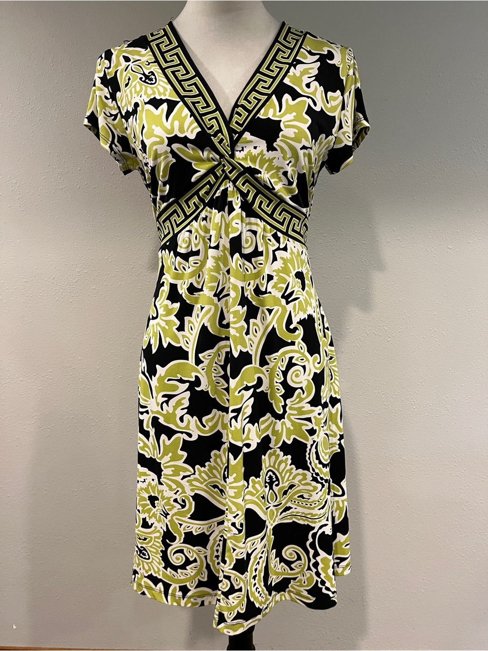 Apt 9. vintage style Floral v-neck mini dress size petite medium